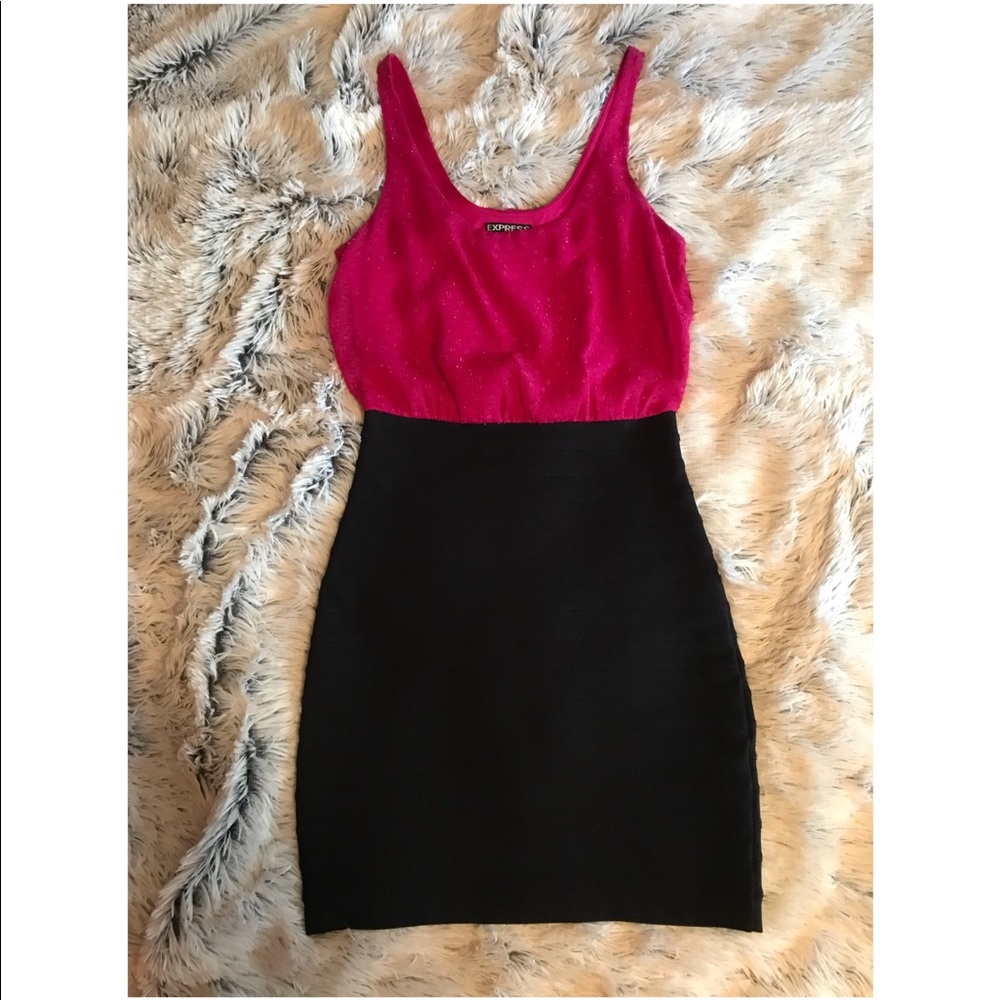 Express Bodycon Dress